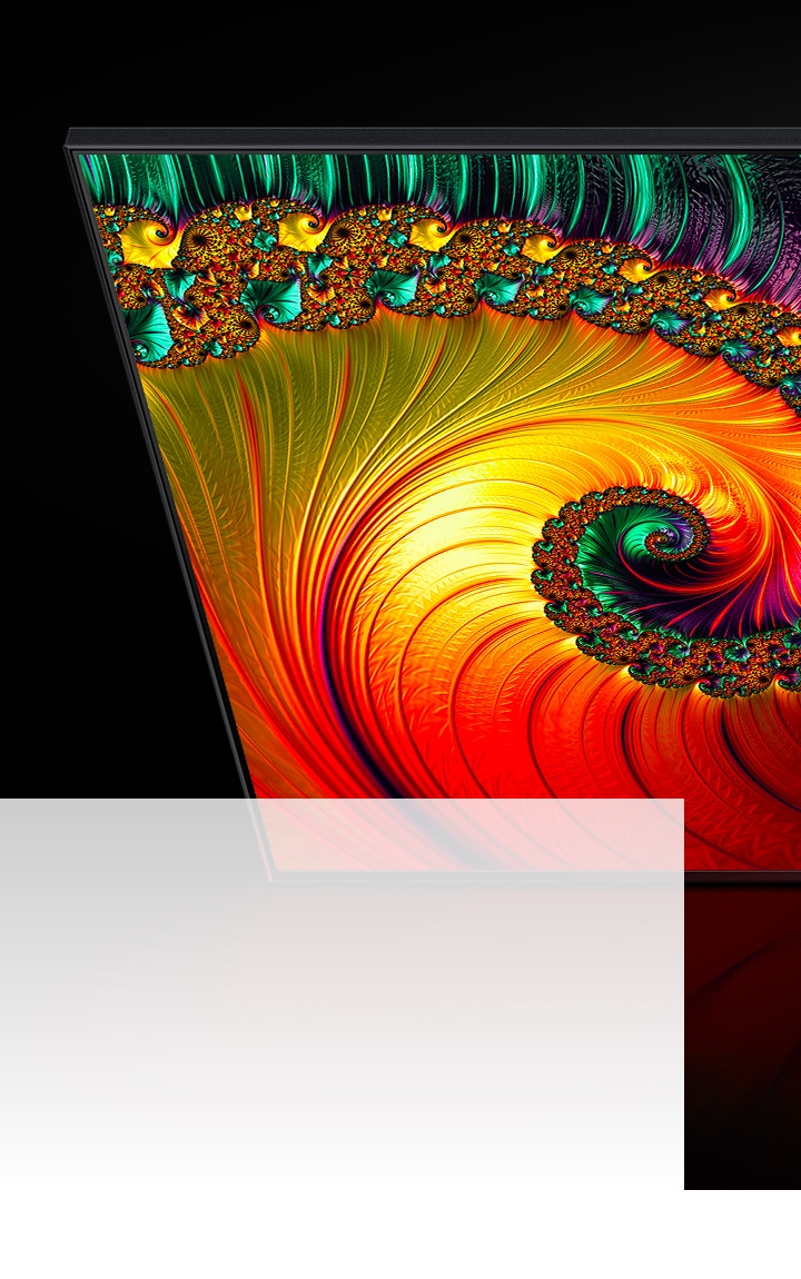 一台QLED电视正在展示彩色海螺壳，具有高分辨率的图像质量。