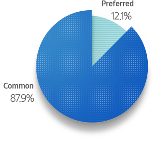 Common 87.9%. Preferred 12.1%