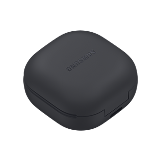 case-l-dynamic Graphite