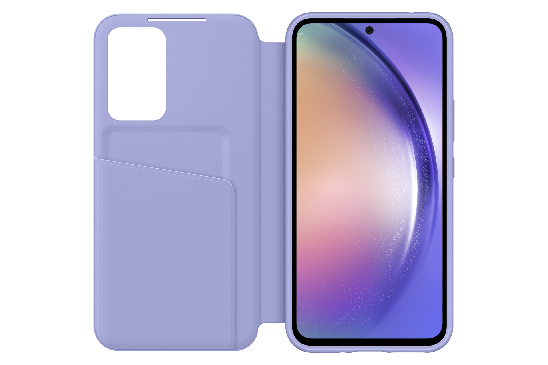 front-open Blueberry