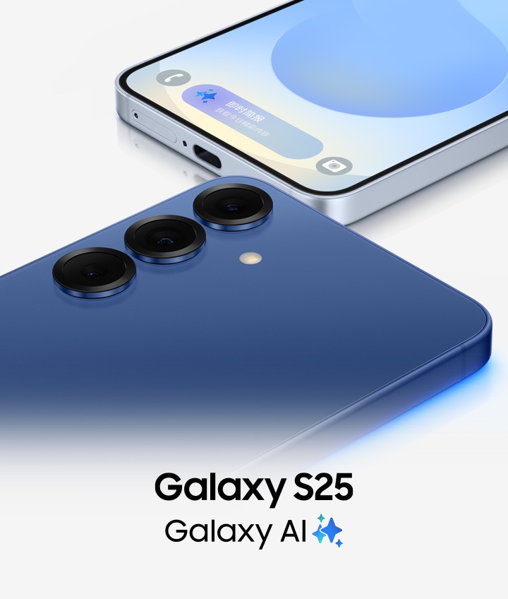 Galaxy S25 | SM-S9310LBGCHC | 三星商务中国