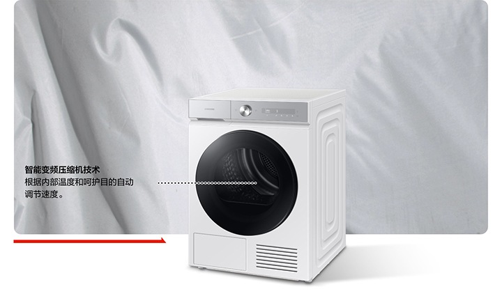 BESPOKE 缤色铂格干衣机DV10BB9440GHSC White | 三星电子中国
