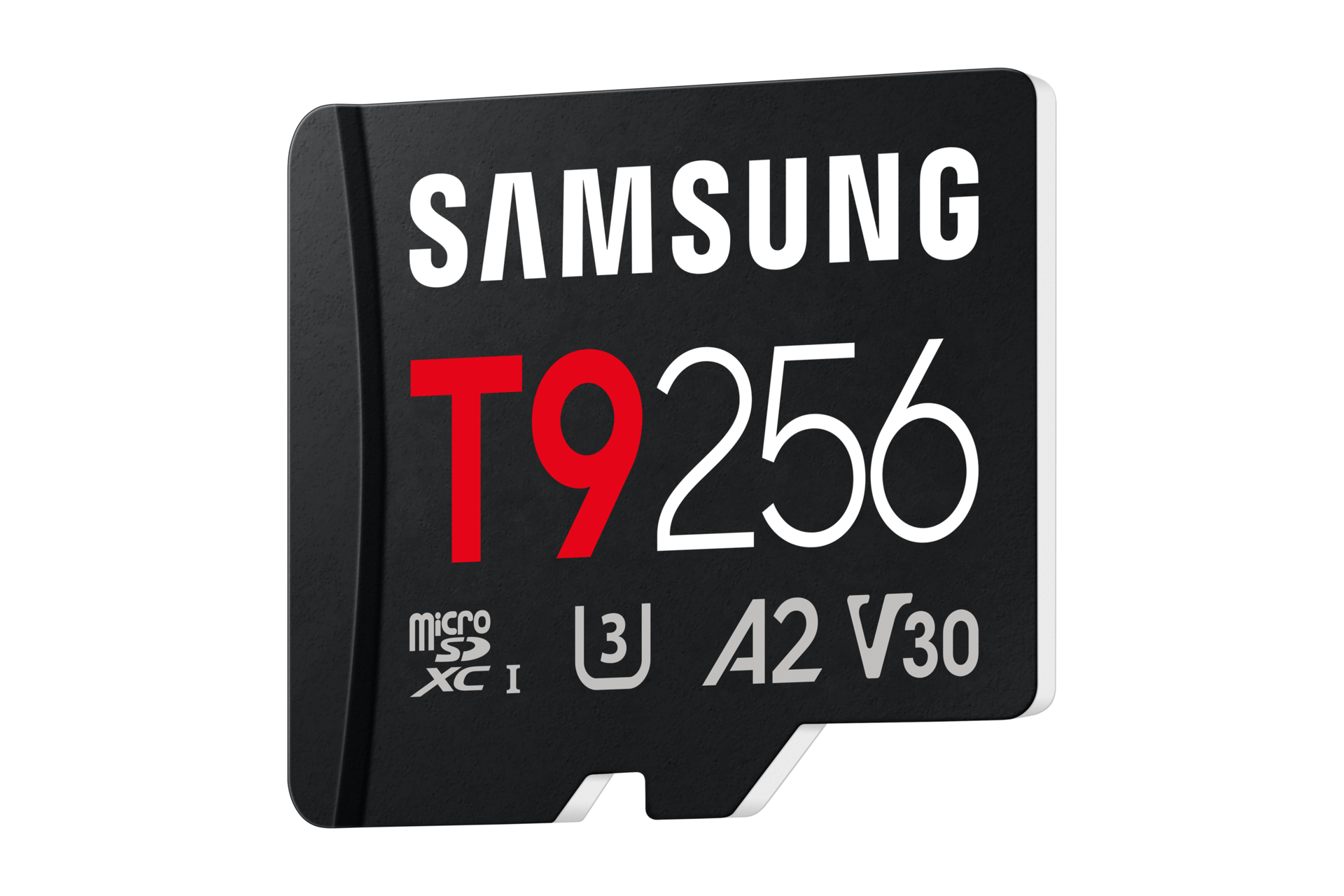 T9 microSD存储卡 R-Perspective Black 