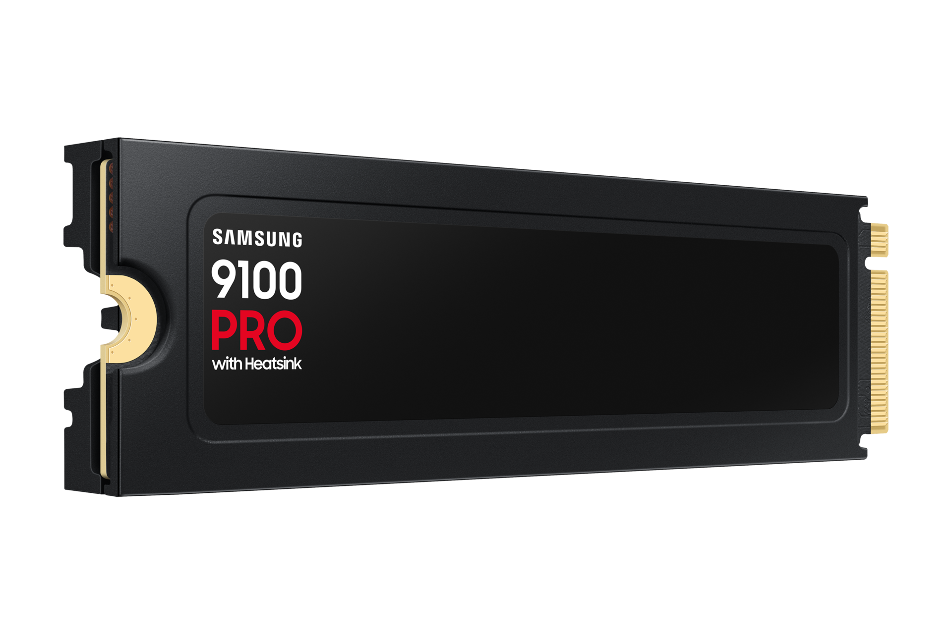 l-perspective-with-label Black