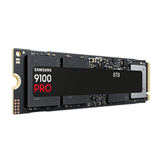 9100 PRO PCIe 5.0 NVMe M.2 固态硬盘 L-Perspective Black 