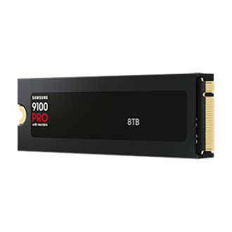 9100 PRO With Heatsink (散热片版) PCIe 5.0 NVMe M.2 固态硬盘 R-Perspective Black 