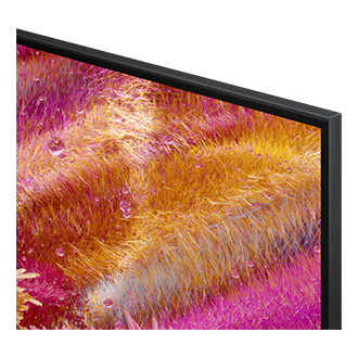 115英寸级 Neo QLED 4K电视 QN90F (2025) Detail Black 