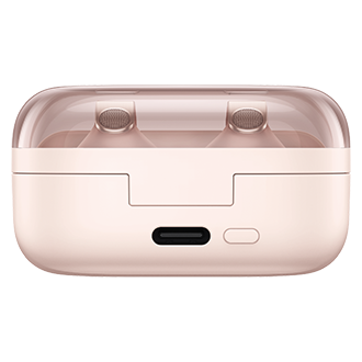 Galaxy Buds4 Pro 三星商城专属颜色 Case-Back Pink Gold 
